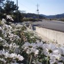 어구마을 이미지