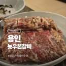 농우 | 용인 가족외식 농우본갈비 | 대형 주차장 양념갈비 리얼 후기