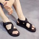 5461 이미지