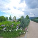 한강시민공원(관리사무실) 이미지