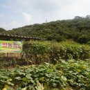 준구농장 네이버블로그