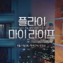 플라이마이