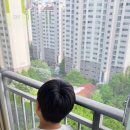 방충망 교체, JS방범방충망으로 우리집 안전 업그레이드!