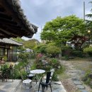 링크 늘푸른 애견호텔 이미지