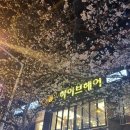 아르스헤어