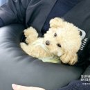 록연 이미지