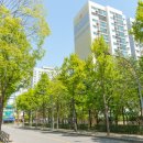 가로수 공인중개사사무소 이미지