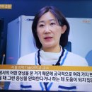 OBS뉴스 농촌진흥청 프로폴리스 계획 이미지