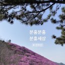 고모네김치 이미지