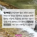 남성유치원