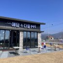 예당 앤 다울 이미지