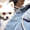 카페샐럽 이미지