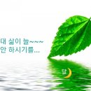 하얀노을 이미지