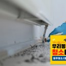 우리동네청소대장 이미지