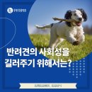 대곡동물병원 이미지