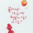 감성 수채화 캘리그라피 이미지