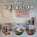 다농마트 평택점 주변 | 평택 모임장소로 딱이야 송탄파티룸 바닐라숲 이용 후기