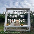 한솔이네농장 | 11월,12월제주도여행지 남매랑 감귤체험후기 제주도아기랑가볼만한곳 탐나는농장(내돈내산)