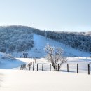 하늘목장 이미지