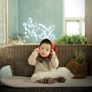 스튜디오나무 이미지