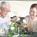 이주컨설팅주 이미지