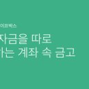 스테디세이프