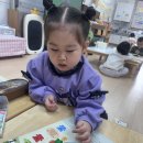 생각이 쑥쑥 창의수학 놀이터 Daum카페