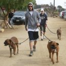 강아지산책 이미지