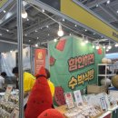 팔도 밥상