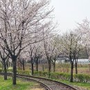 황구지천 이미지