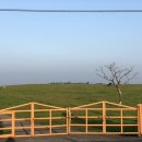 선양목장 이미지