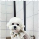 행복한미용실 이미지