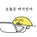 대현전기조명 이미지