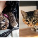 잔다냥 강동점 이미지