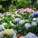 남원읍-13 이미지