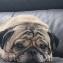 광남유치원 이미지