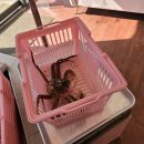 GS25부천옥길점 이미지