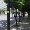 [산행기] (초보등산) 우면산⛰️ + 기흥 이케아 / 고매커피