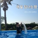 탐나는팜