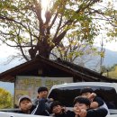 지리산산뜨락