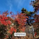 캠스학원 이미지