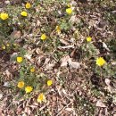 갤럭시민박 이미지