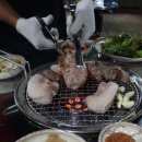 제주돈돼지 - 49363 | 제주돈돼지