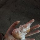 피자알볼로속초점 | [2025] 첫 시작 1월