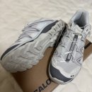 맑은운동화 | 살로몬 한정판 운동화 XT 퀘스트 오텀브리즈 리뷰, 사이즈 팁