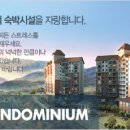 O2콘도&리조트 Daum카페
