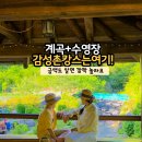 제천 숙소 계곡 수영장 펜션 황토방스테이 감성 촌캉스