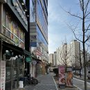 마이요거트립 경북도청점 | [경북도청 디저트 맛집] ‘마이요거트립’ 두바이 쫀득 쿠키, 두쫀쿠