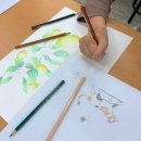 보테니컬 일러스트 이미지