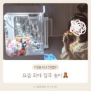뽑기 생각 | [가정용 미니 인형뽑기] 집콕 놀이 고민하다가 들였는데 생각보다 만족한 후기 :)